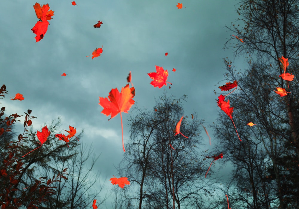 Where Content Falls Down