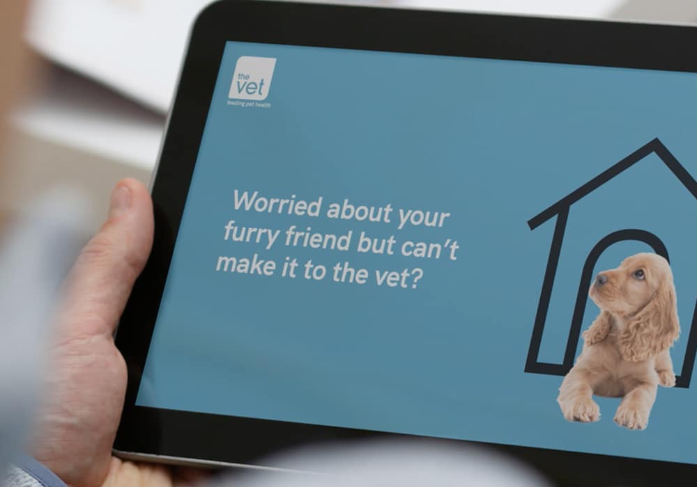 Helping The Vet raise awareness and reassure pet owners