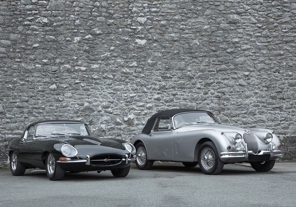 LAW and the 147 year old brief